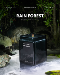 Rain Forest