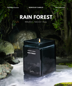 Rain Forest