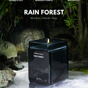 Rain Forest