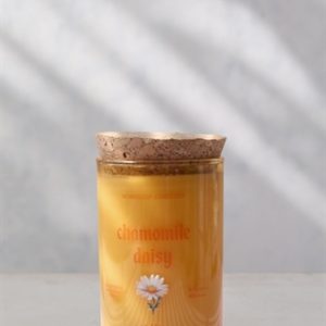 Chamomile Daisy