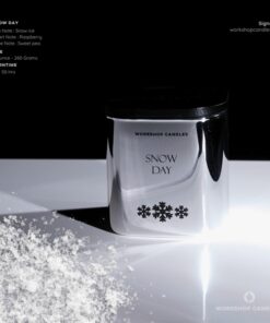 Alternative view of Snow Day