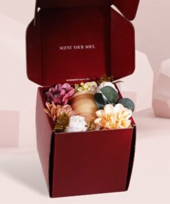 Box Đơn + Túi Nhỏ (Mới)