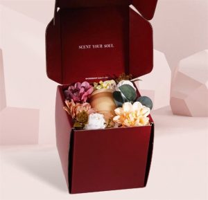 Box Đơn + Túi Nhỏ (Mới)