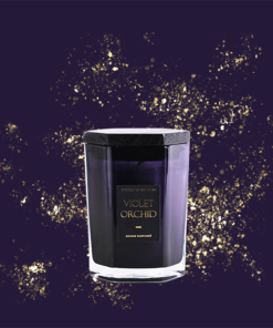 Violet Orchid