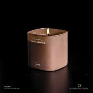 Ombre Leather