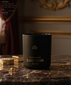 LADY NOIR