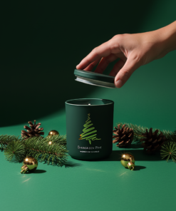 Alternative view of EVERGREEN PINE 8.8oz