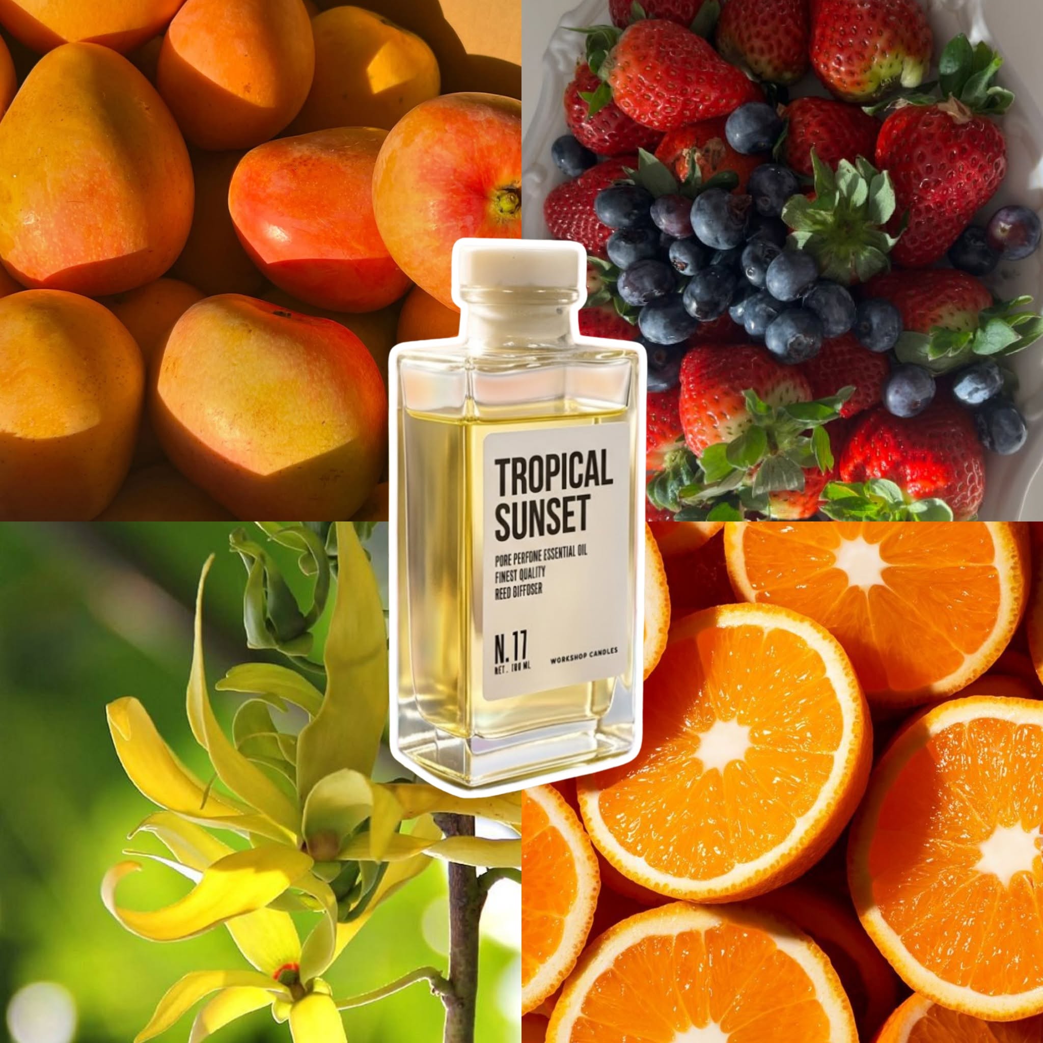 TROPICAL SUNSET 100ml - Ảnh 2